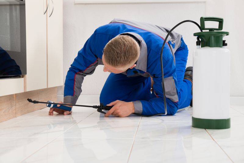 Bug Removal Service in Katy, TX