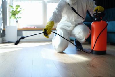 Common Spiders Extermination in New Braunfels, TX
