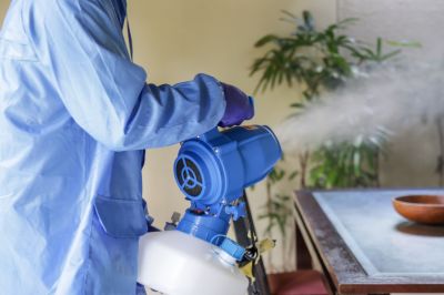 Fumigation Service in Ann Arbor, MI