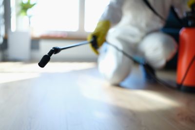 Pest Fumigation Service in Katy, TX