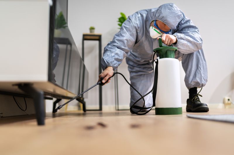 Roach Fumigation in San Jose, CA