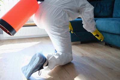 Roach Fumigation in Bellingham, WA