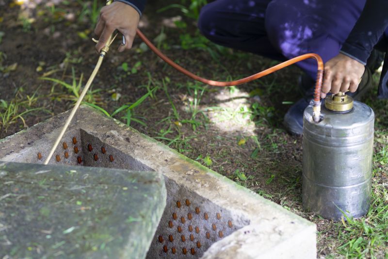 Roach Fumigation in Naperville, IL