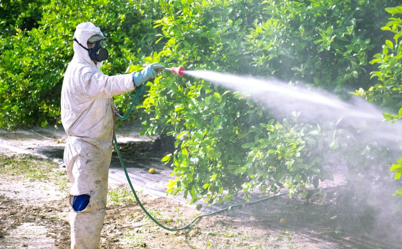 Roach Fumigation in Santa Fe, NM