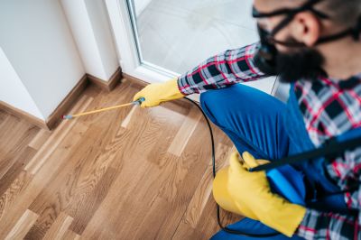 Spider Extermination Service in Mckinney, TX