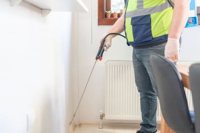 Ant Control Service in Frisco, TX