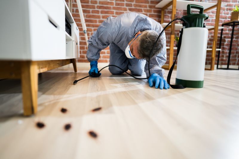 Carpet Beetle Extermination in Katy, TX
