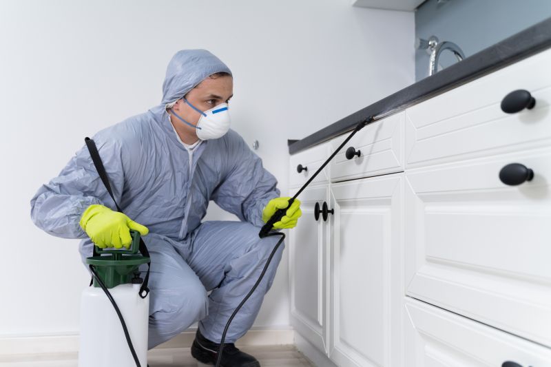 Earwig Extermination in Arlington, TX