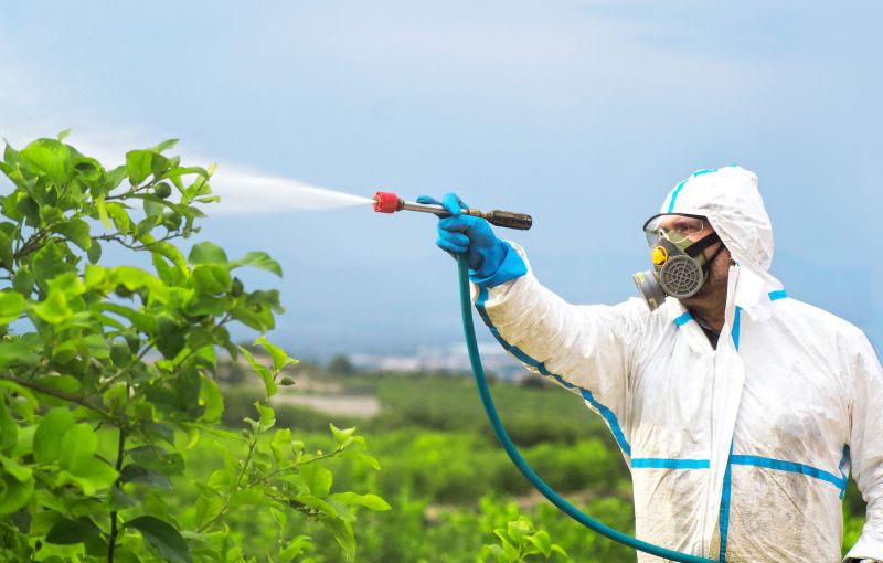 Fumigation Service in Fort Collins, CO