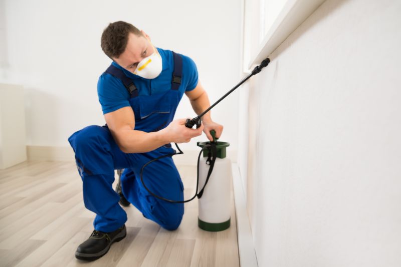 Insect Extermination Service in Katy, TX
