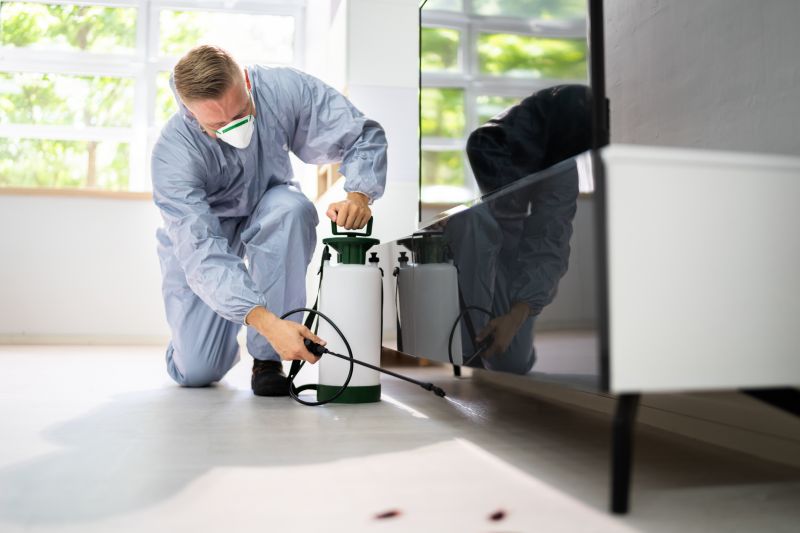 Insect Extermination Service in Katy, TX