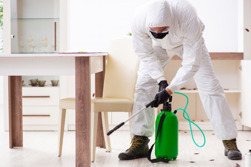 Pest Management Service in Katy, TX