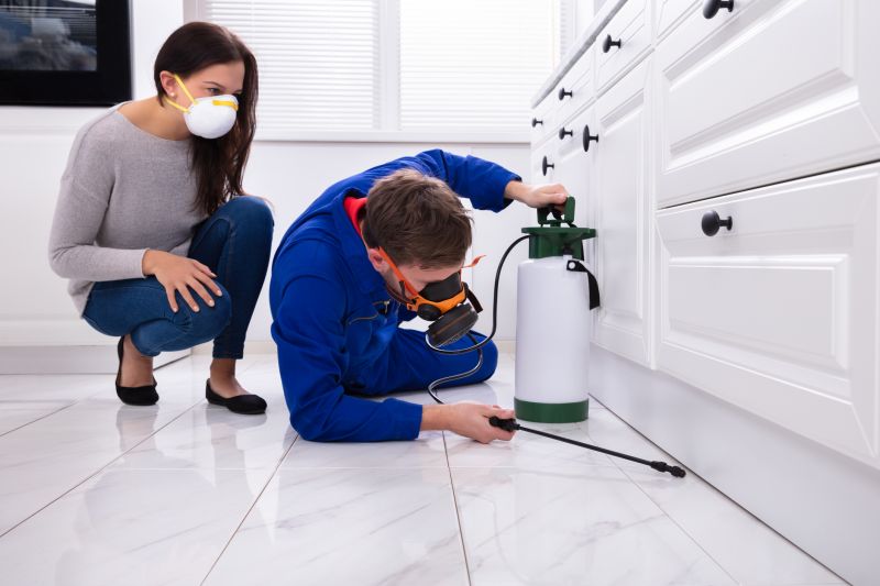 Silverfish Extermination in Katy, TX