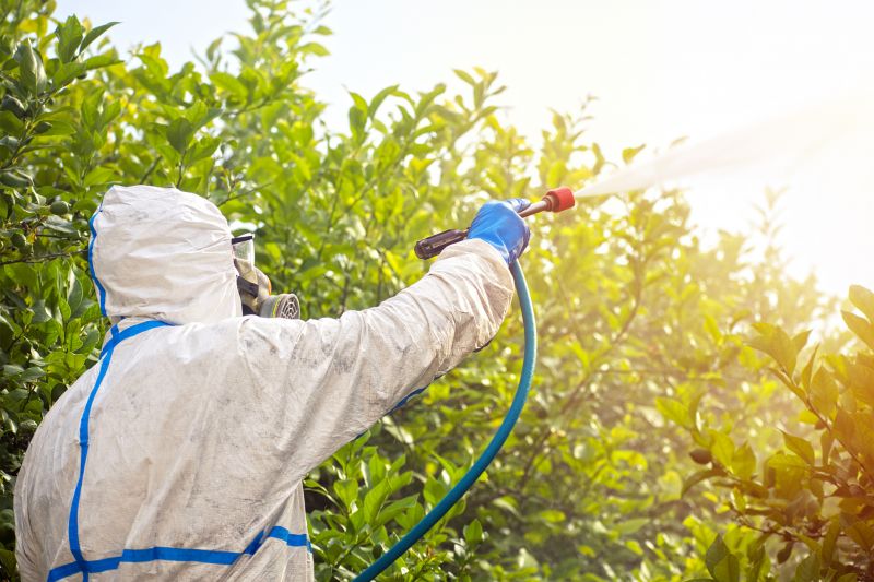 Spider Fumigation Service in Fort Collins, CO