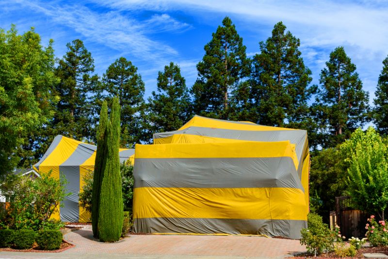 Termite Tenting in Franklin, TN
