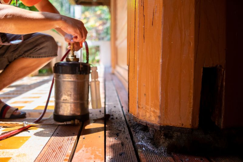 Termites Extermination in Frisco, TX