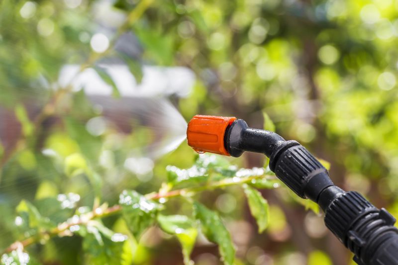 Yard Insect Treatment in Katy, TX